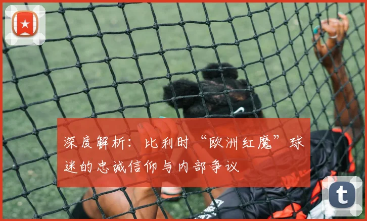 深度解析:比利时“欧洲红魔”球迷的忠诚信仰与内部争议